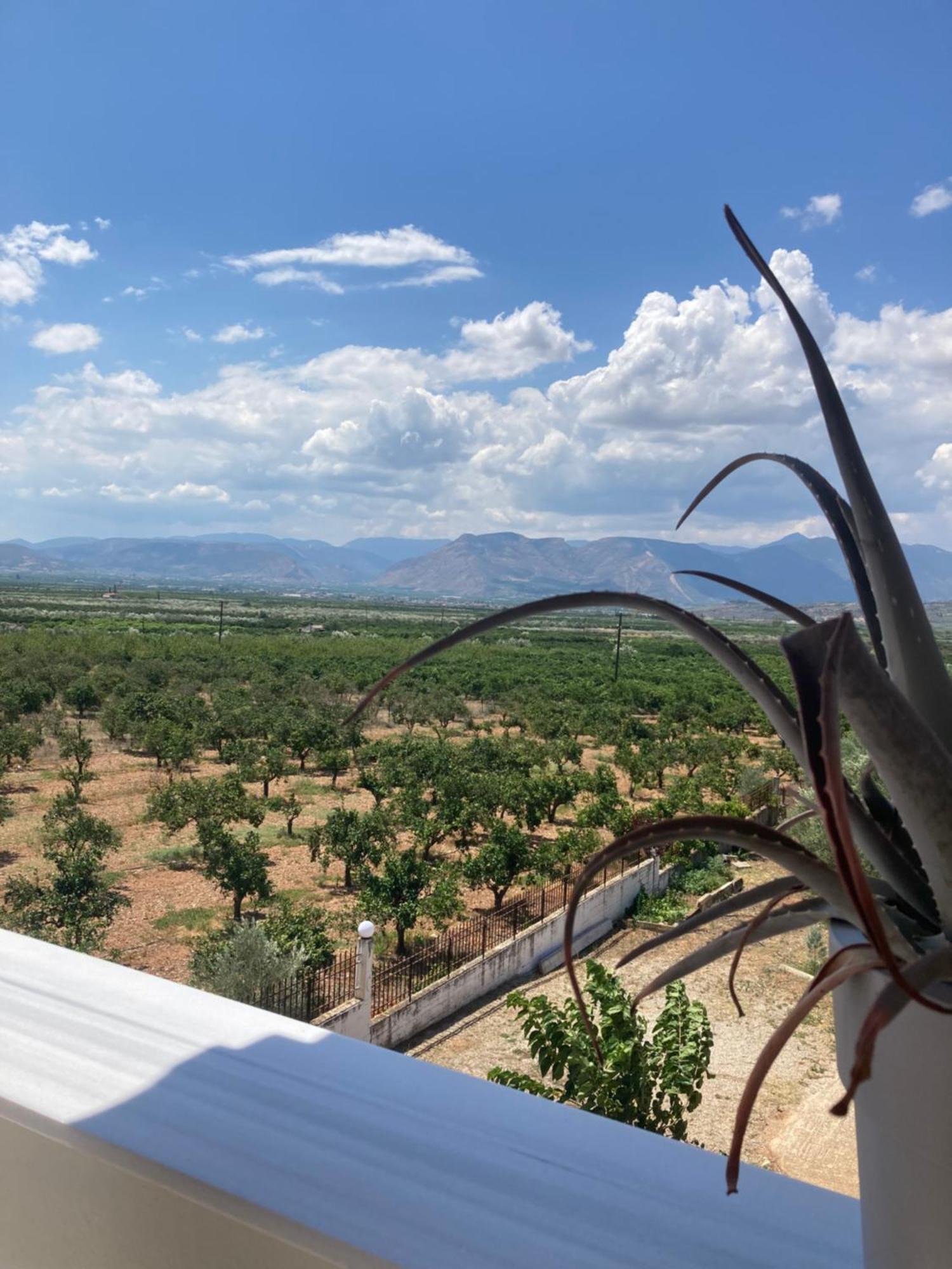 Enchanting Mycenae - Your Greek Holiday Retreat Argos Exterior foto